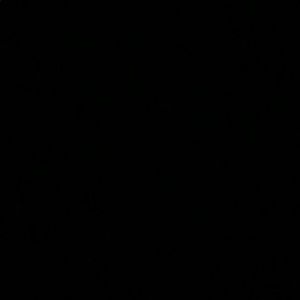 Meet your Posher, Emani